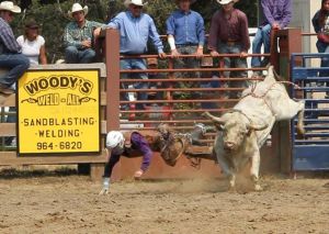 Photo courtesy Shoreline Riders