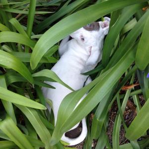 1374220_10152031548311844_1507168159_n