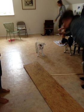 559798_10152017172491844_2118415971_n