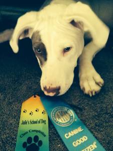 Shortly after the photo was snapped, she tried to eat her ribbons.