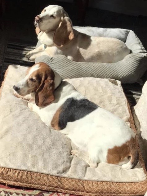 JessicaEbassets